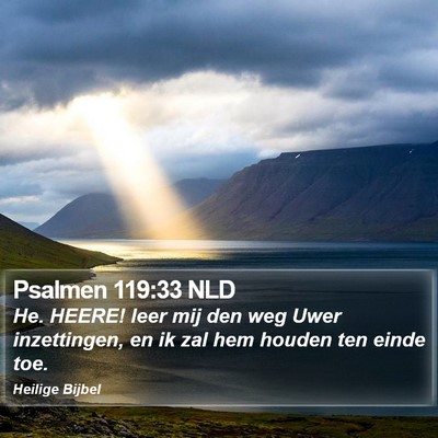 Psalmen 119:33 NLD Bible Verse Image