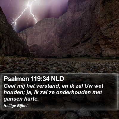 Psalmen 119:34 NLD Bible Verse Image
