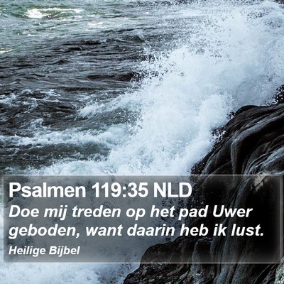 Psalmen 119:35 NLD Bible Verse Image