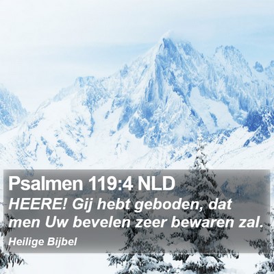 Psalmen 119:4 NLD Bible Verse Image