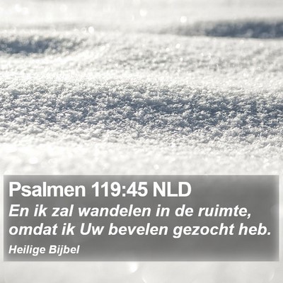 Psalmen 119:45 NLD Bible Verse Image