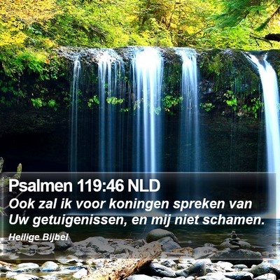 Psalmen 119:46 NLD Bible Verse Image