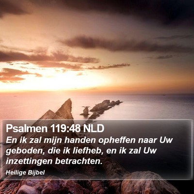 Psalmen 119:48 NLD Bible Verse Image