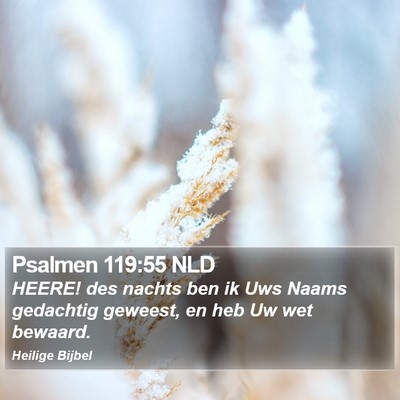 Psalmen 119:55 NLD Bible Verse Image