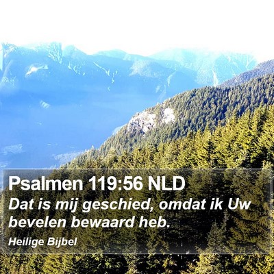 Psalmen 119:56 NLD Bible Verse Image