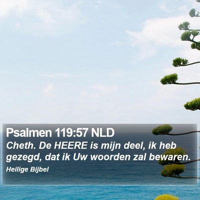 Psalmen 119:57 NLD Bible Verse Image