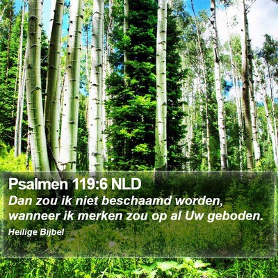 Psalmen 119:6 NLD Bible Verse Image