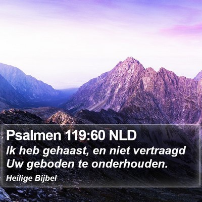 Psalmen 119:60 NLD Bible Verse Image