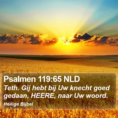 Psalmen 119:65 NLD Bible Verse Image