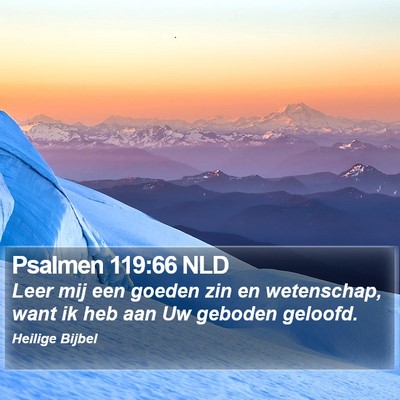 Psalmen 119:66 NLD Bible Verse Image