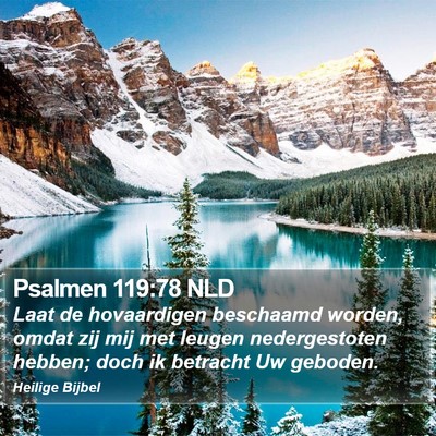 Psalmen 119:78 NLD Bible Verse Image