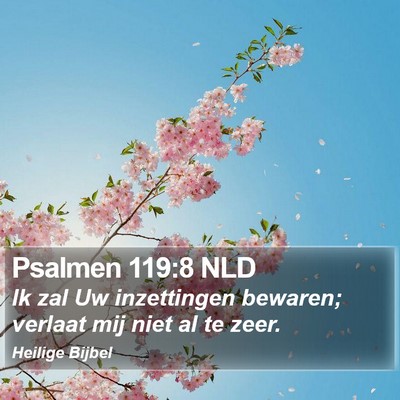 Psalmen 119:8 NLD Bible Verse Image
