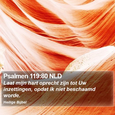 Psalmen 119:80 NLD Bible Verse Image