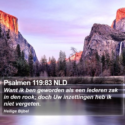 Psalmen 119:83 NLD Bible Verse Image