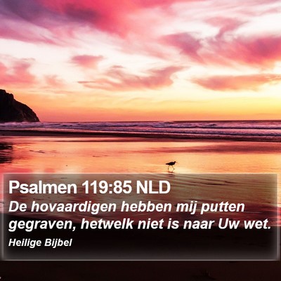 Psalmen 119:85 NLD Bible Verse Image