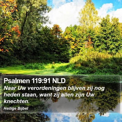 Psalmen 119:91 NLD Bible Verse Image