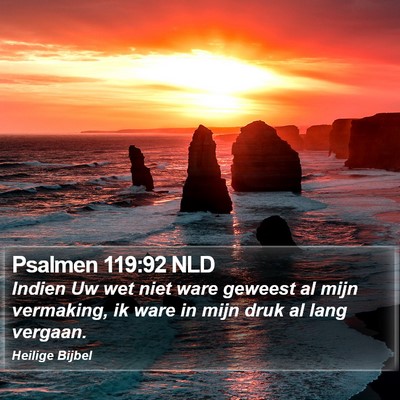 Psalmen 119:92 NLD Bible Verse Image