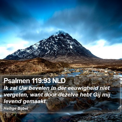 Psalmen 119:93 NLD Bible Verse Image