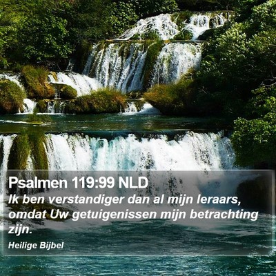Psalmen 119:99 NLD Bible Verse Image
