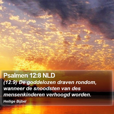 Psalmen 12:8 NLD Bible Verse Image