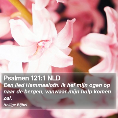 Psalmen 121:1 NLD Bible Verse Image
