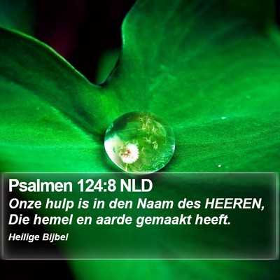 Psalmen 124:8 NLD Bible Verse Image