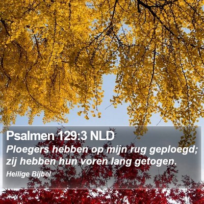Psalmen 129:3 NLD Bible Verse Image