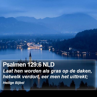 Psalmen 129:6 NLD Bible Verse Image