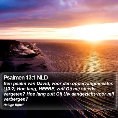 Psalmen 13:1 NLD Bible Verse Image