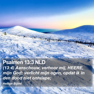Psalmen 13:3 NLD Bible Verse Image
