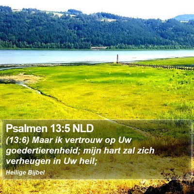 Psalmen 13:5 NLD Bible Verse Image
