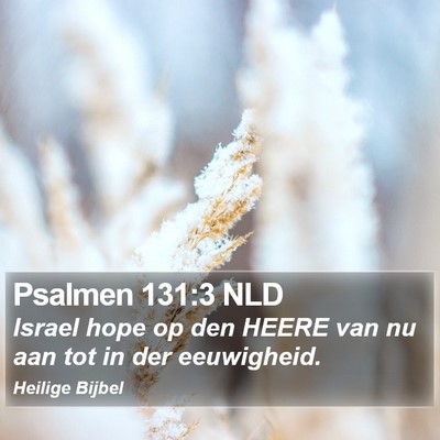 Psalmen 131:3 NLD Bible Verse Image