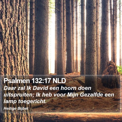 Psalmen 132:17 NLD Bible Verse Image