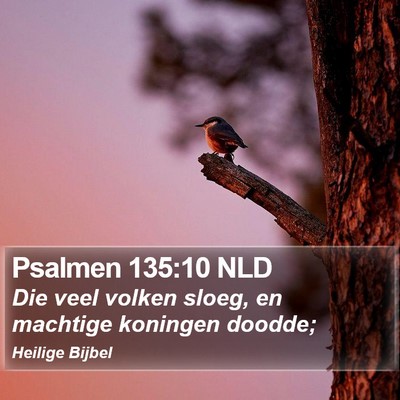 Psalmen 135:10 NLD Bible Verse Image