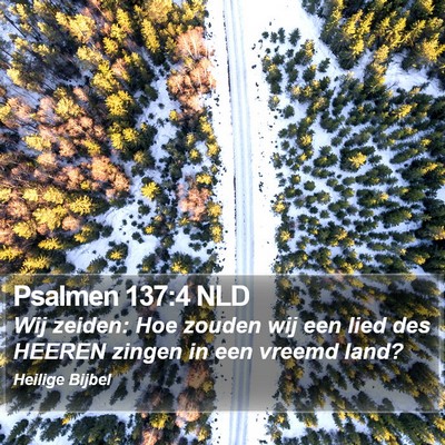 Psalmen 137:4 NLD Bible Verse Image