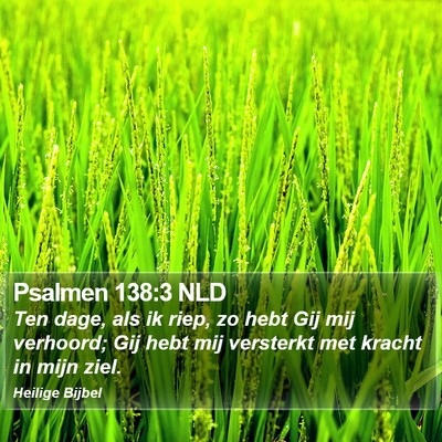 Psalmen 138:3 NLD Bible Verse Image