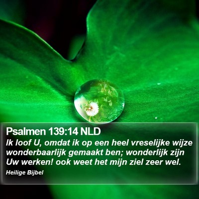 Psalmen 139:14 NLD Bible Verse Image
