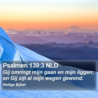 Psalmen 139:3 NLD Bible Verse Image