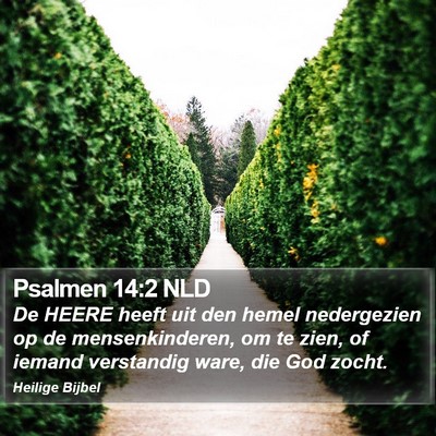 Psalmen 14:2 NLD Bible Verse Image