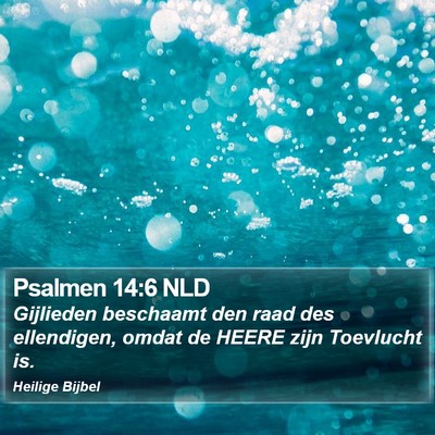 Psalmen 14:6 NLD Bible Verse Image