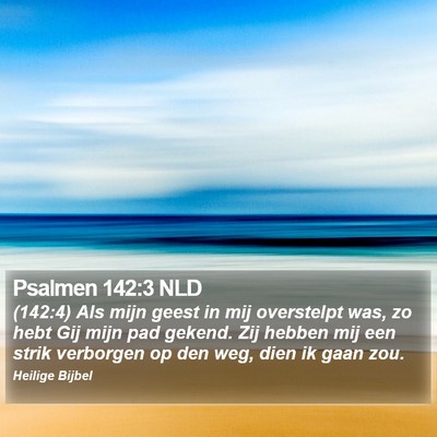 Psalmen 142:3 NLD Bible Verse Image