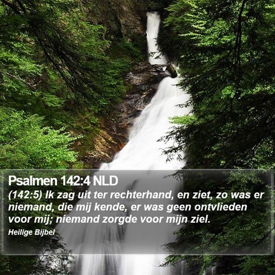 Psalmen 142:4 NLD Bible Verse Image