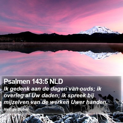 Psalmen 143:5 NLD Bible Verse Image