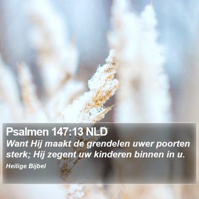 Psalmen 147:13 NLD Bible Verse Image