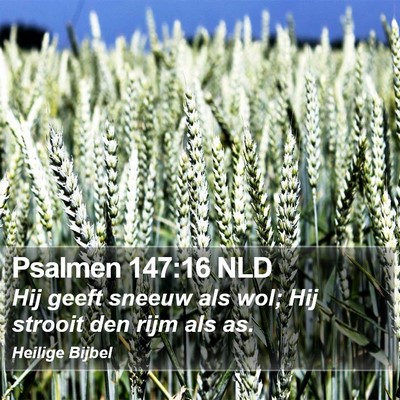 Psalmen 147:16 NLD Bible Verse Image