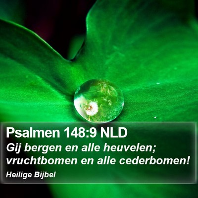 Psalmen 148:9 NLD Bible Verse Image