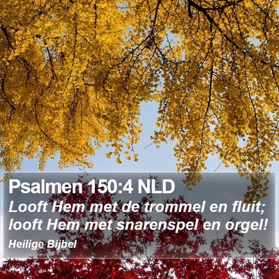 Psalmen 150:4 NLD Bible Verse Image