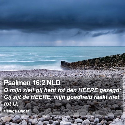 Psalmen 16:2 NLD Bible Verse Image