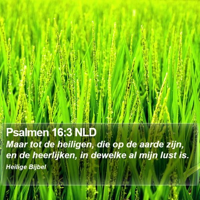 Psalmen 16:3 NLD Bible Verse Image