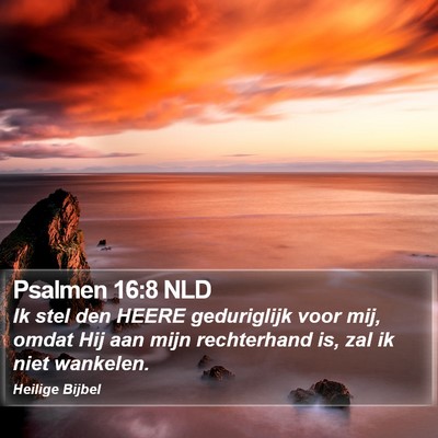 Psalmen 16:8 NLD Bible Verse Image
